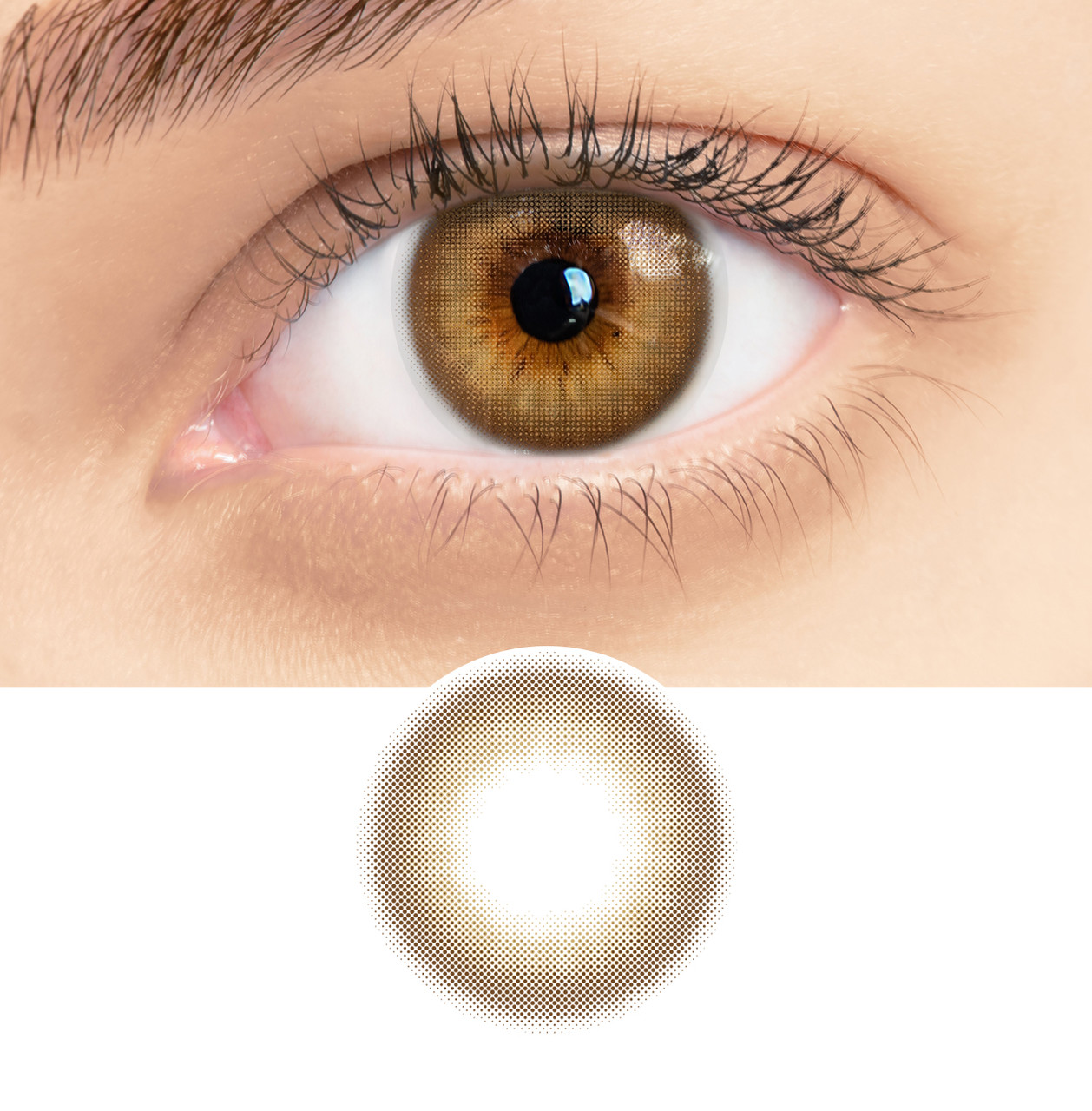 RSY26 Tiramisu Brown